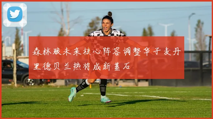 森林狼未来核心阵容调整华子麦丹里德贝兰热将成新基石