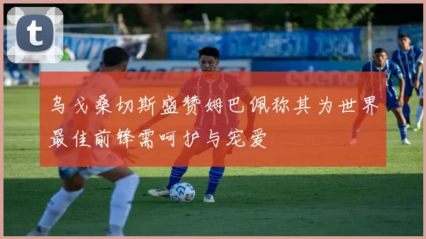 乌戈桑切斯盛赞姆巴佩称其为世界最佳前锋需呵护与宠爱