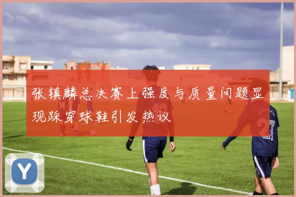 张镇麟总决赛上强度与质量问题显现踩穿球鞋引发热议